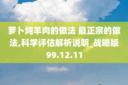 萝卜炖羊肉的做法 最正宗的做法,科学评估解析说明_战略版99.12.11