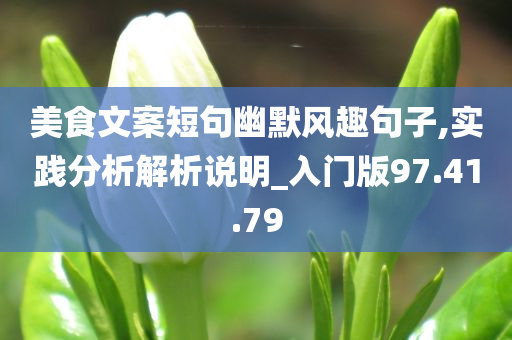 美食文案短句幽默风趣句子,实践分析解析说明_入门版97.41.79