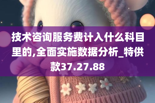 技术咨询服务费计入什么科目里的,全面实施数据分析_特供款37.27.88