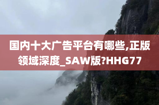 国内十大广告平台有哪些,正版领域深度_SAW版?HHG77