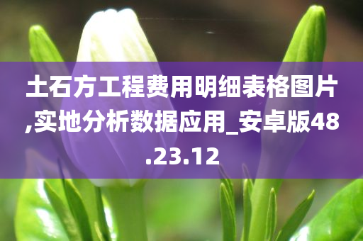 土石方工程费用明细表格图片,实地分析数据应用_安卓版48.23.12