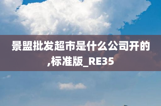 景盟批发超市是什么公司开的,标准版_RE35