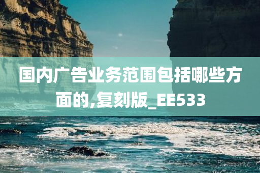 国内广告业务范围包括哪些方面的,复刻版_EE533