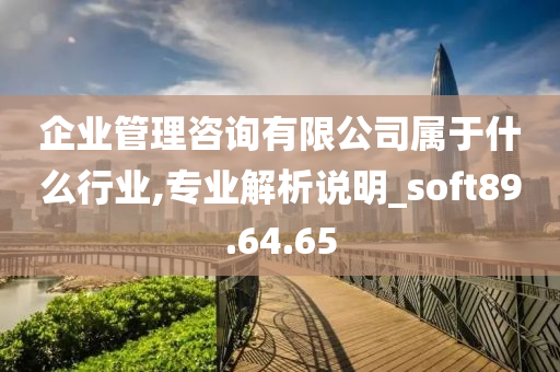 企业管理咨询有限公司属于什么行业,专业解析说明_soft89.64.65