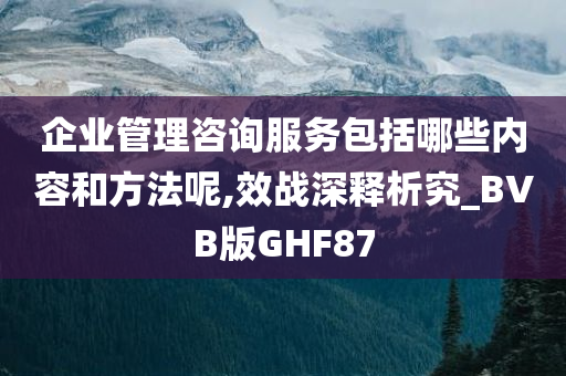 企业管理咨询服务包括哪些内容和方法呢,效战深释析究_BVB版GHF87