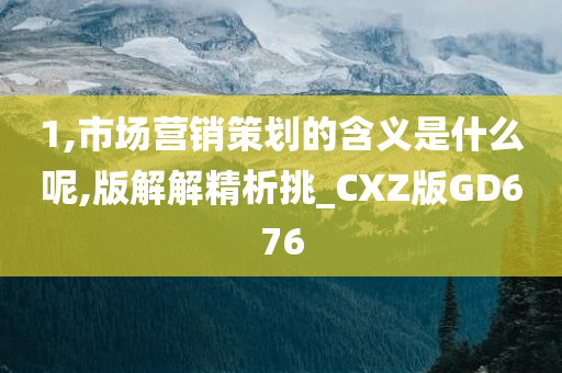 1,市场营销策划的含义是什么呢,版解解精析挑_CXZ版GD676