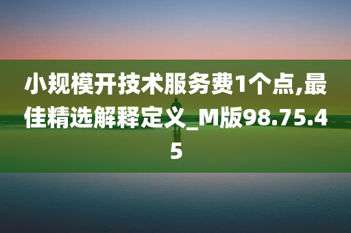 小规模开技术服务费1个点,最佳精选解释定义_M版98.75.45