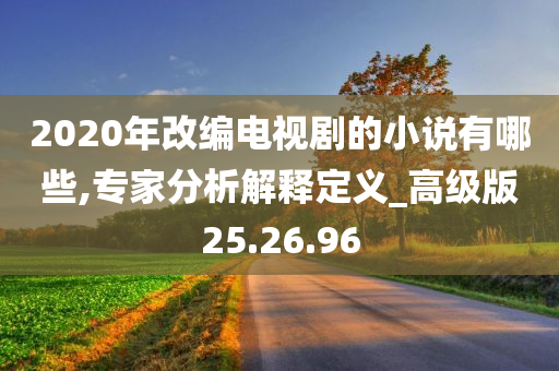 2020年改编电视剧的小说有哪些,专家分析解释定义_高级版25.26.96