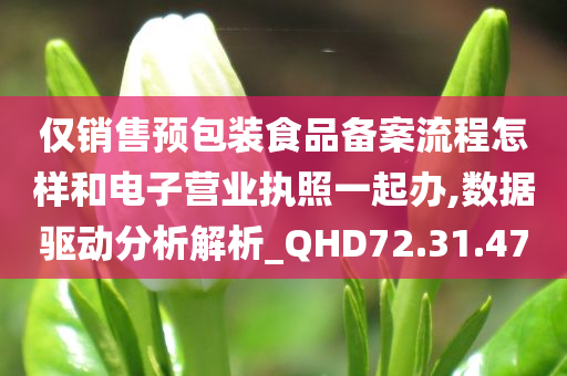 仅销售预包装食品备案流程怎样和电子营业执照一起办,数据驱动分析解析_QHD72.31.47