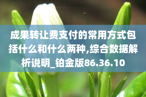 成果转让费支付的常用方式包括什么和什么两种,综合数据解析说明_铂金版86.36.10