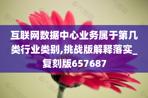 互联网数据中心业务属于第几类行业类别,挑战版解释落实_复刻版657687