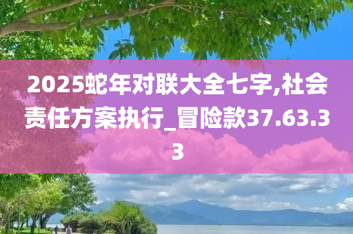 2025蛇年对联大全七字,社会责任方案执行_冒险款37.63.33