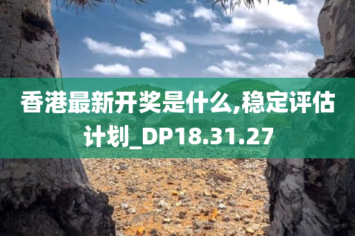 香港最新开奖是什么,稳定评估计划_DP18.31.27