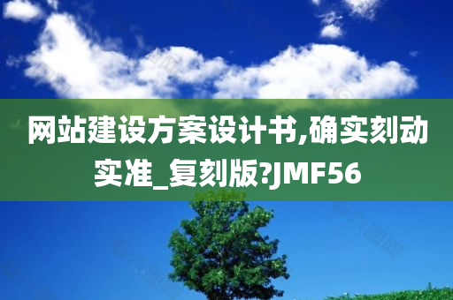 网站建设方案设计书,确实刻动实准_复刻版?JMF56