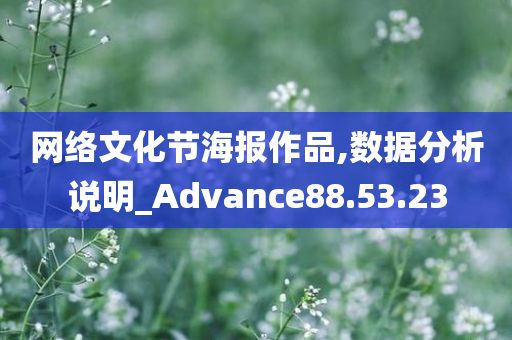 网络文化节海报作品,数据分析说明_Advance88.53.23