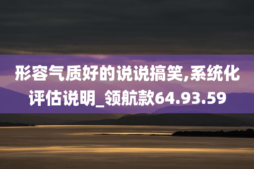 形容气质好的说说搞笑,系统化评估说明_领航款64.93.59