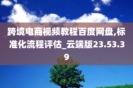 跨境电商视频教程百度网盘,标准化流程评估_云端版23.53.39