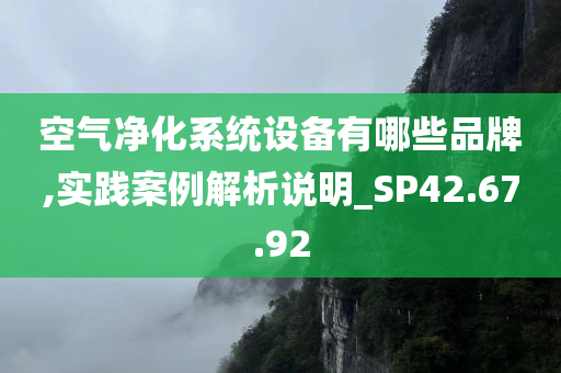 空气净化系统设备有哪些品牌,实践案例解析说明_SP42.67.92