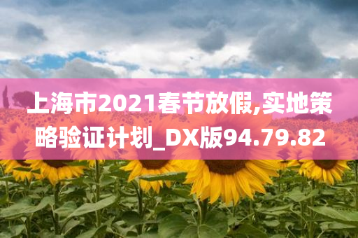 上海市2021春节放假,实地策略验证计划_DX版94.79.82