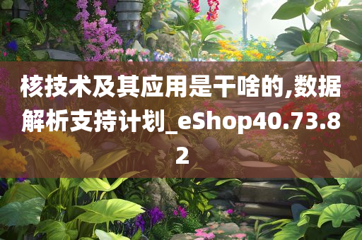 核技术及其应用是干啥的,数据解析支持计划_eShop40.73.82