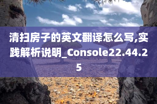 清扫房子的英文翻译怎么写,实践解析说明_Console22.44.25