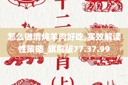 怎么做清炖羊肉好吃,实效解读性策略_旗舰版77.37.99