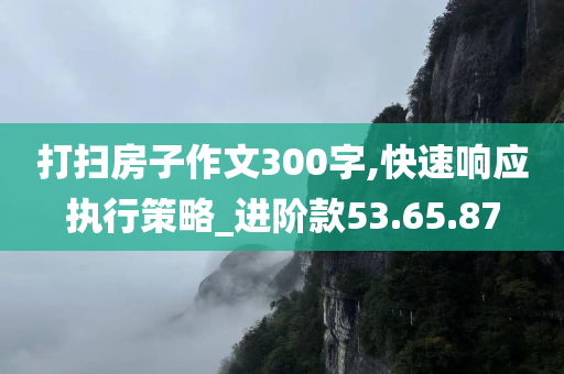 打扫房子作文300字,快速响应执行策略_进阶款53.65.87