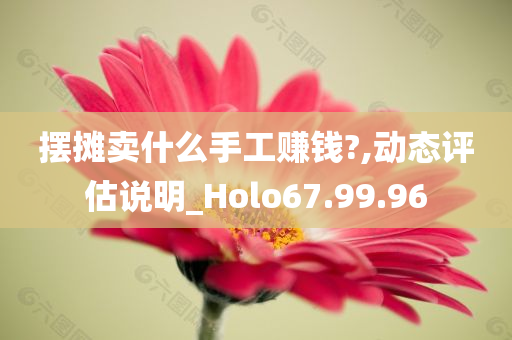 摆摊卖什么手工赚钱?,动态评估说明_Holo67.99.96