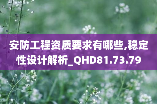 安防工程资质要求有哪些,稳定性设计解析_QHD81.73.79