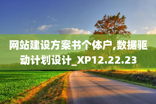 网站建设方案书个体户,数据驱动计划设计_XP12.22.23