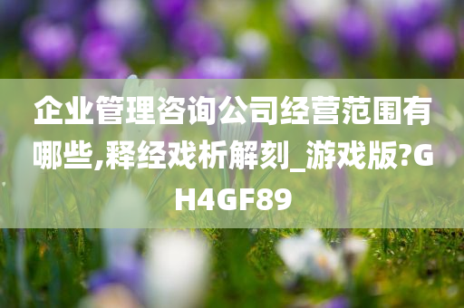 企业管理咨询公司经营范围有哪些,释经戏析解刻_游戏版?GH4GF89