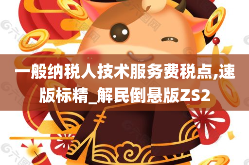 一般纳税人技术服务费税点,速版标精_解民倒悬版ZS2