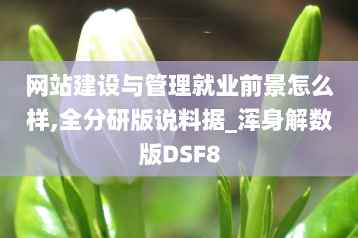 网站建设与管理就业前景怎么样,全分研版说料据_浑身解数版DSF8