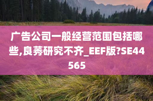 广告公司一般经营范围包括哪些,良莠研究不齐_EEF版?SE44565