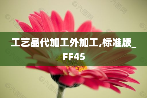 工艺品代加工外加工,标准版_FF45