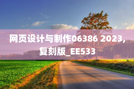 网页设计与制作06386 2023,复刻版_EE533