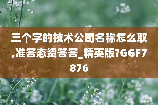 三个字的技术公司名称怎么取,准答态资答答_精英版?GGF7876