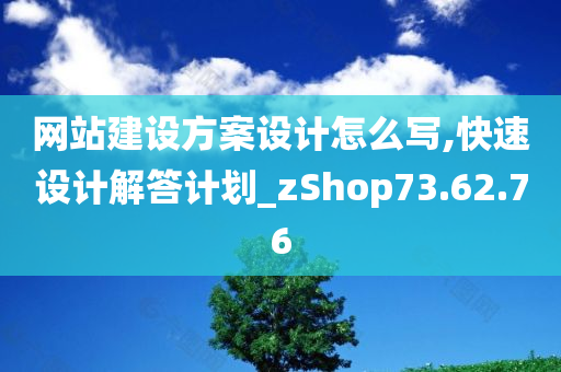 网站建设方案设计怎么写,快速设计解答计划_zShop73.62.76