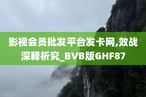 影视会员批发平台发卡网,效战深释析究_BVB版GHF87