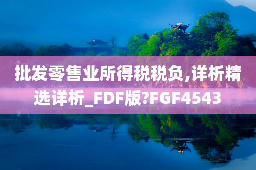 批发零售业所得税税负,详析精选详析_FDF版?FGF4543