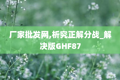 厂家批发网,析究正解分战_解决版GHF87