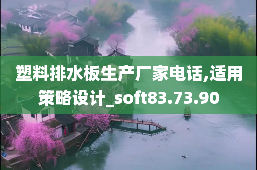 塑料排水板生产厂家电话,适用策略设计_soft83.73.90