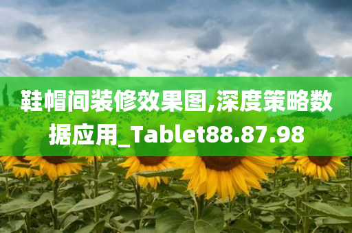 鞋帽间装修效果图,深度策略数据应用_Tablet88.87.98