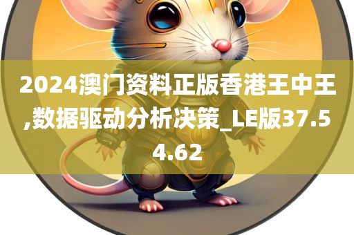 2024澳门资料正版香港王中王,数据驱动分析决策_LE版37.54.62