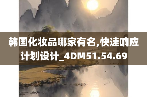 韩国化妆品哪家有名,快速响应计划设计_4DM51.54.69