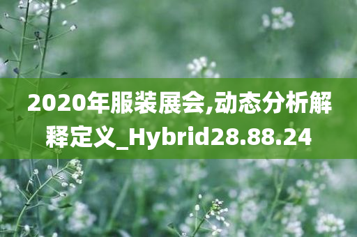 2020年服装展会,动态分析解释定义_Hybrid28.88.24