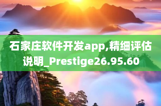 石家庄软件开发app,精细评估说明_Prestige26.95.60