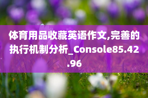 体育用品收藏英语作文,完善的执行机制分析_Console85.42.96