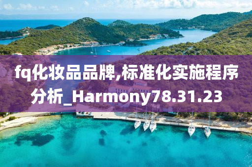 fq化妆品品牌,标准化实施程序分析_Harmony78.31.23