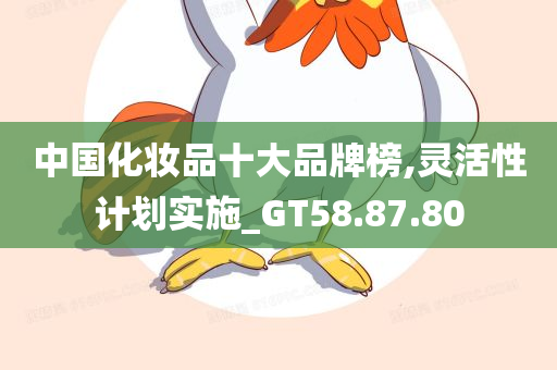 中国化妆品十大品牌榜,灵活性计划实施_GT58.87.80